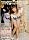 SOD�����Ɍ�������{��!!����TV���Ă�ƾV��ς̵��ި��݂� [DVD]
