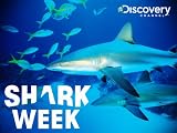 Shark Week: Blood in the Water