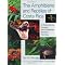 A Selection of Herpetology Books