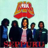 Mr. Big - Seppuku