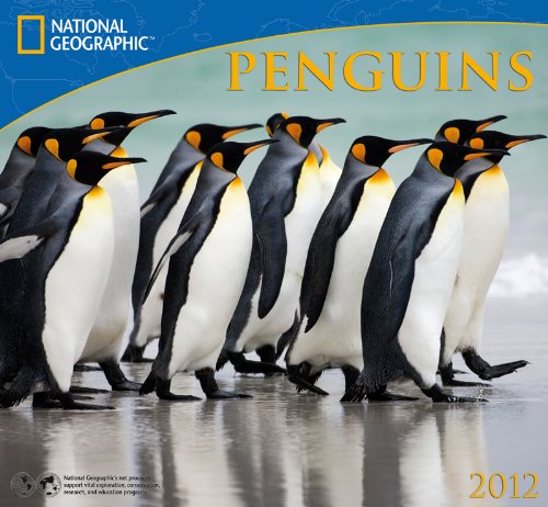2012 Penguins - National Wall calendar