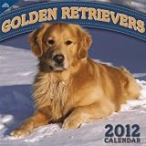 2012 Golden Retrievers 12X12 Wall  calendar