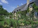 Jigsaw of Thatched cottages with roses on the walls and gardens from Robert Harding