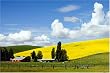 Beautiful Idaho Farm Scene - Stunning 16x20 Photographic Print by Carol M. Highsmith