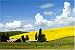 Beautiful Idaho Farm Scene - Stunning 16x20 Photographic Print by Carol M. Highsmith