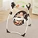 Summer Infant Sweet Sleep Musical Swing, Fox and Friends, Espresso