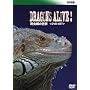 BBC ঒��ނ̐��E DVD-SET