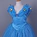 JerrisApparel New Cinderella Dress Princess Costume Butterfly Girl
