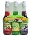 Back to Basics Snow Cone Syrups - Summer Chill - 3Pk