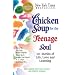 Chicken Soup for the Teenage Soul: 101 Stories of Life, Love and Learning
