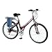 Currie EZip Trailz Step Thru Women's Electric Bike