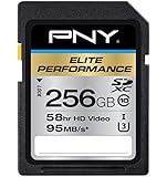 PNY Elite Performance 256 GB High Speed SDXC Class 10 UHS-I, U3 up to 95 MB/Sec Flash Card (P-SDX256U395-GE)