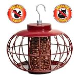 Squirrel Proof Lantern Nut Feeder NT43