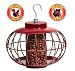 Outdoor Living : Squirrel Proof Lantern Nut Feeder NT43