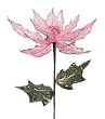 Set of 12 Transparent Pink Poinsettia Holiday Flower Stems