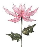 Set of 12 Transparent Pink Poinsettia Holiday Flower Stems | Christmas Central