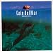 Cafe Del Mar: Vol 8