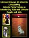 Labrador Retriever: All About the Labrador Dog, from Labrador Puppy Training to Labrador Dog Types and Labrador Puppies and Kids