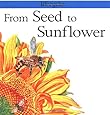 From Seed to Sunflower (Lifecycles)