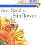 From Seed to Sunflower (Lifecycles)