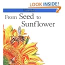 From Seed to Sunflower (Lifecycles)