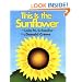 This Is the Sunflower