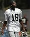 RANDY MOSS OAKLAND RAIDERS 8X10 SPORTS ACTION PHOTO (2)