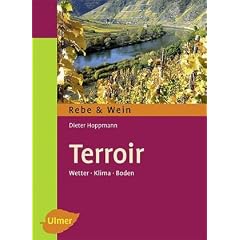 Terroir: Wetter, Klima und Boden im Weinbau