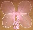 Posh Pink Butterfly Tutu Set with Wings and Wand