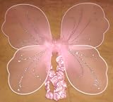 Posh Pink Butterfly Tutu Set with Wings and Wand