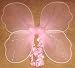 Posh Pink Butterfly Tutu Set with Wings and Wand
