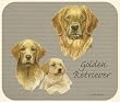 David Kiphuth Dog Breeds Golden Retriever Mousepad Mouse Pad