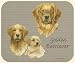 golden_retriever21golden retriever - David Kiphuth Dog Breeds Golden Retriever Mousepad Mouse