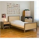IMAGE OF Sparrow Twin Bedroom Set Color: White