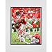 Photo File Kansas City Chiefs Dwayne Bowe Matted Photo