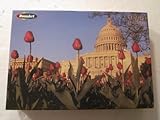 RoseArt National Capitol Jigsaw Puzzle 1000 Pieces Picture RoseArt National Capitol Jigsaw Puzzle 1000 Pieces