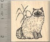 Ragdoll Cat (Cashmere) Rubber Stamp