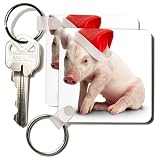 Holidays - Christmas Pig - Key Chains