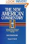 The New American Commentary Volume 4 - Deuteronomy