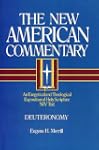 The New American Commentary Volume 4...