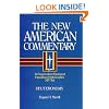 The New American Commentary Volume 4 - Deuteronomy