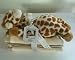 Cloud B Satin Trimmed 3 Pack of Organic Cotton Burp Cloths with Giraffe Rattle