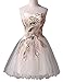 Exlinalesha Women's Strapless Peacock Embroidery Short Prom Dresses ED039