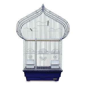 Prevue Hendryx Casbah Parakeet Cage, Blue and White