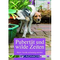 Pubert�t und wilde Zeiten: Wenn Hunde schwierig werden