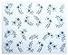 Ottery White flowers Nail Stickers Water Transfers Decals Nail Art Water Nail Art Decal / Tattoo / Sticker