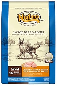 NUTRO Large Breed Adult Chicken, Whole Brown Rice and Oatmeal Recipe Dog Food 30 Pounds