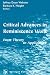 Critical Advances in Reminiscence Work: From Theory to Application