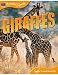 Giraffes