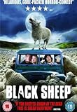 Black Sheep